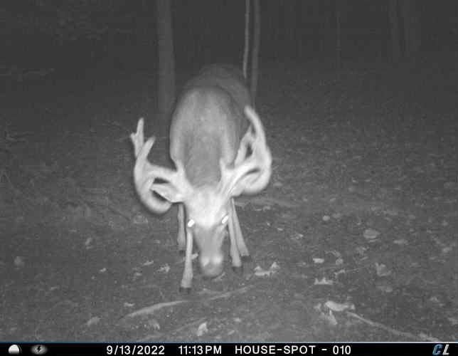 740 Hunt Road Dunmor, KY 42339 - Photo 14 of 15 Gallery Image 14