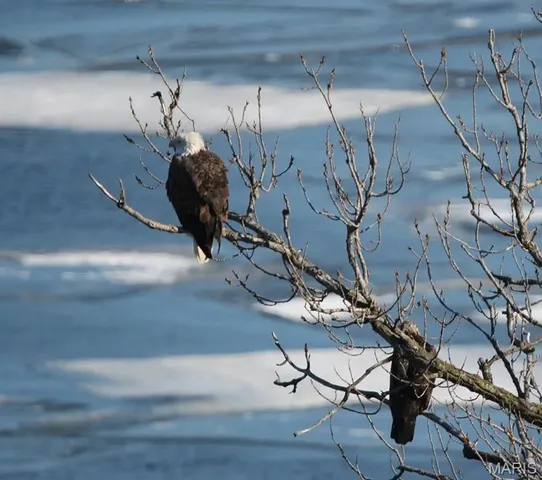 $474,900 | 403 North Main Street, Louisiana, MO 63353