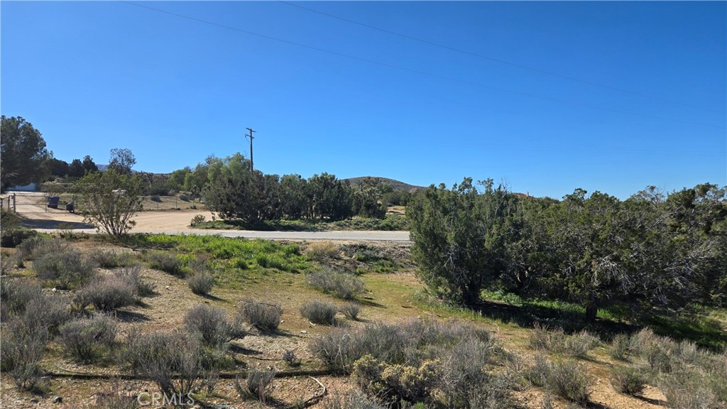 0 Valyermo Road Pearblossom, CA 93553 - Photo 26 of 35 a view of a forest with trees in the background