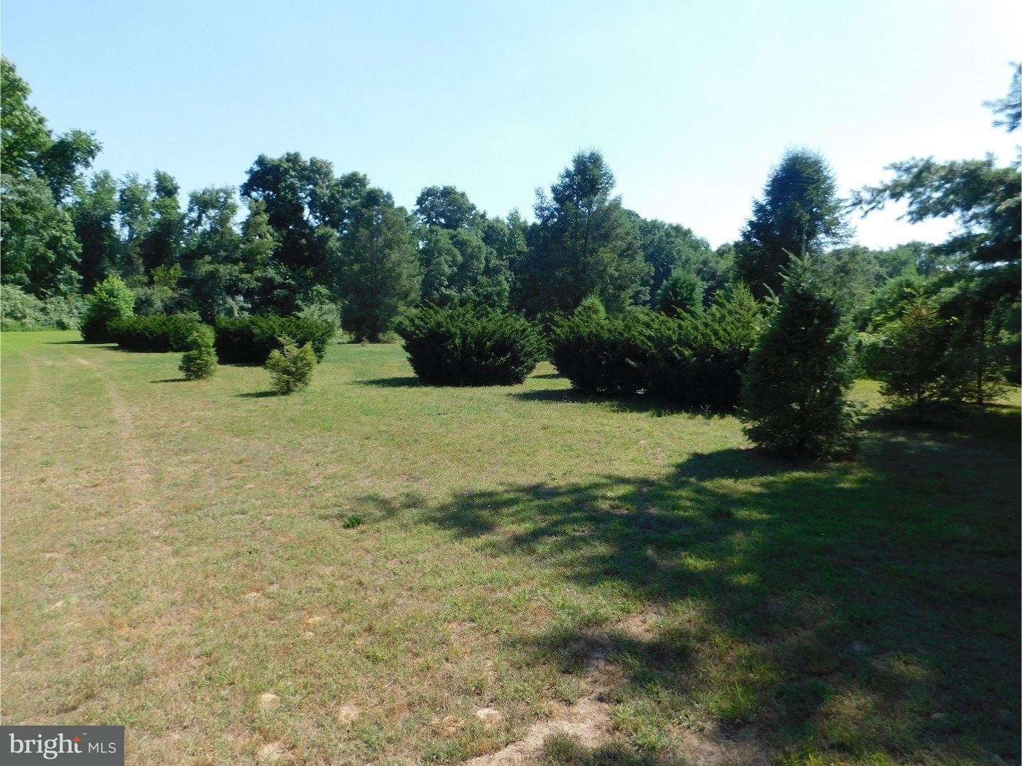 49 Dilks Road Monroeville, NJ 08343 - Photo 10 of 23 Gallery Image 10