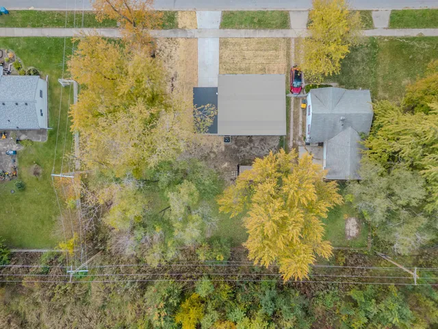 a black and white photo of a picture of a park