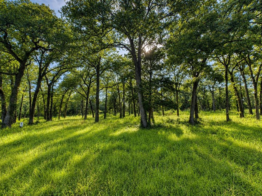 1503 County Road 1503 Point, TX 75472 - Photo 6 of 6 Come build your home and shop