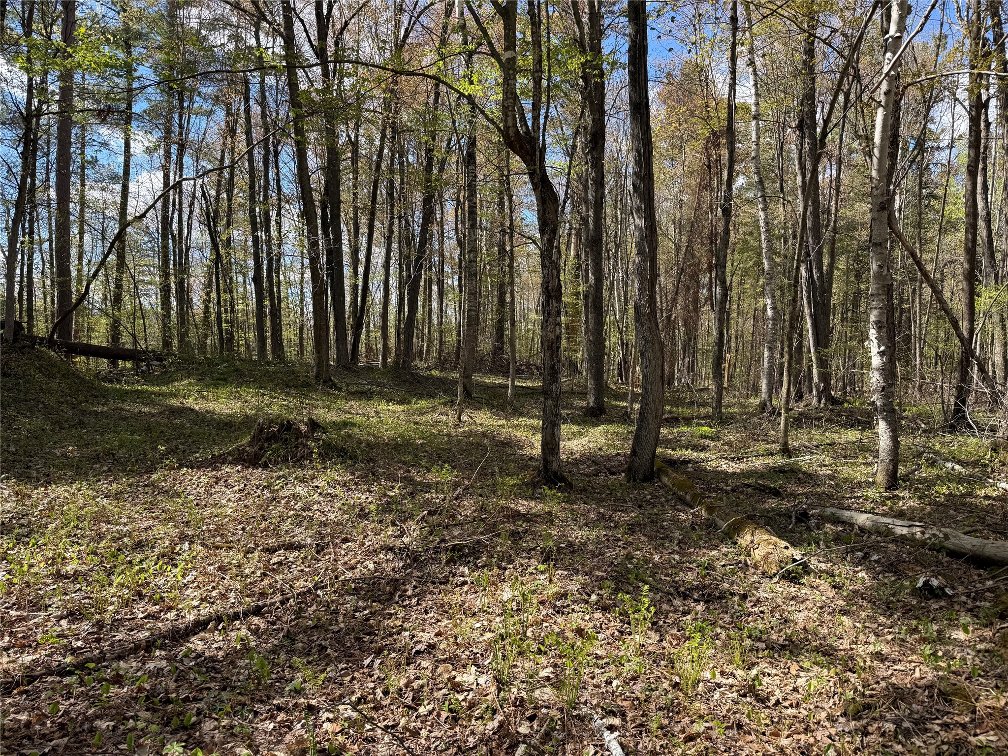 Xxx Xxx Leonard Road Stone Lake, WI 54876 - Photo 19 of 21