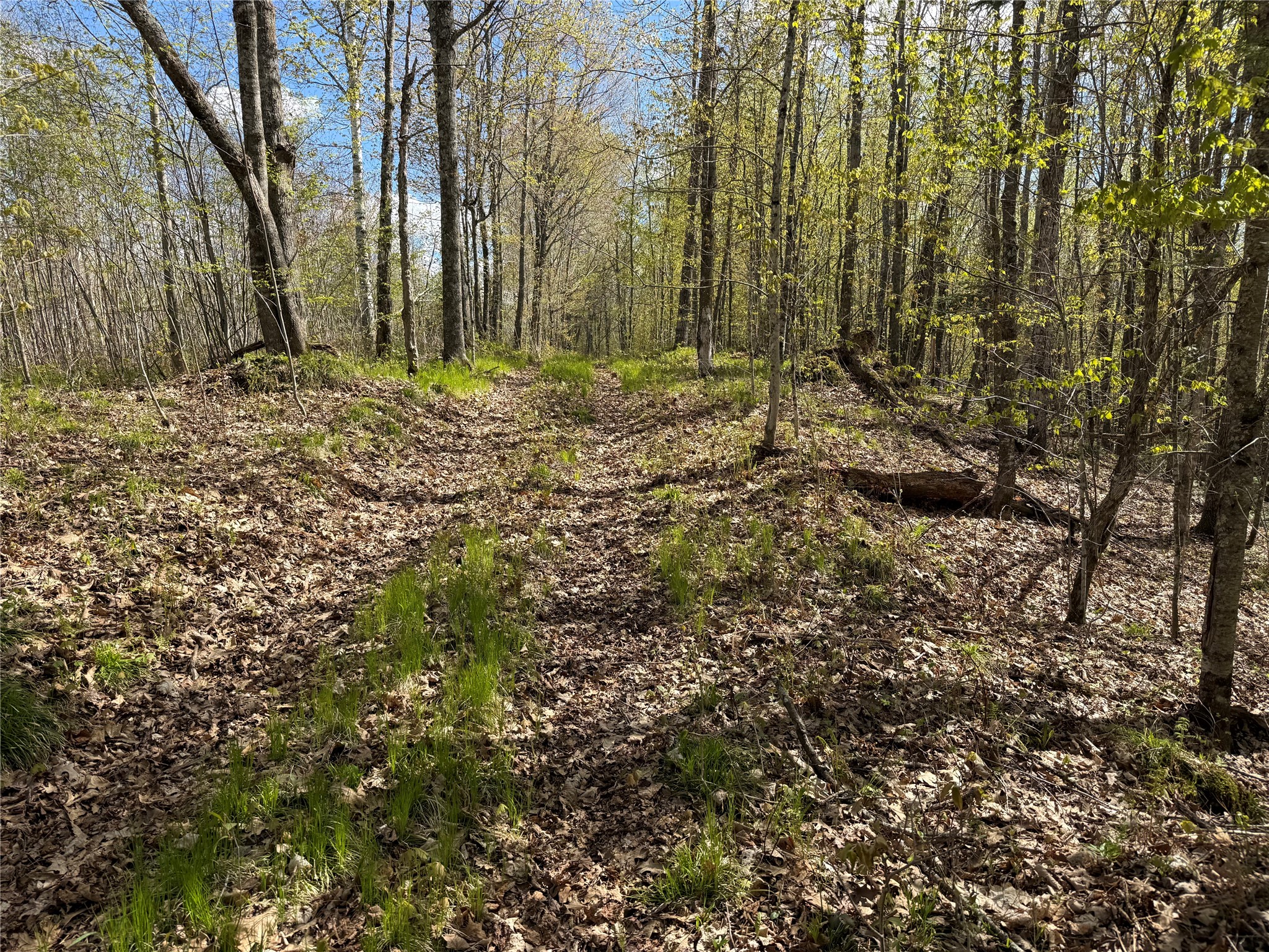Xxx Xxx Leonard Road Stone Lake, WI 54876 - Photo 2 of 21