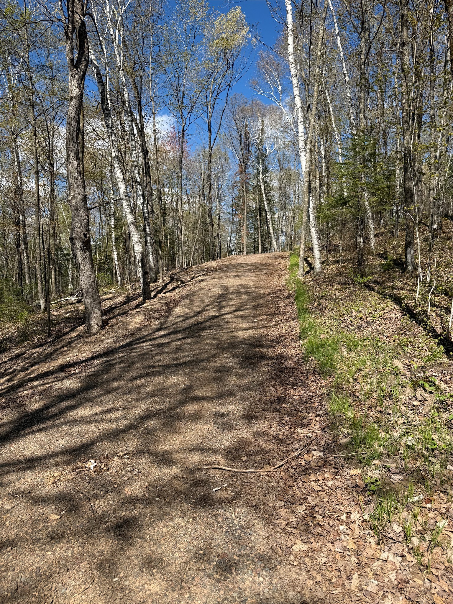 Xxx Xxx Leonard Road Stone Lake, WI 54876 - Photo 21 of 21