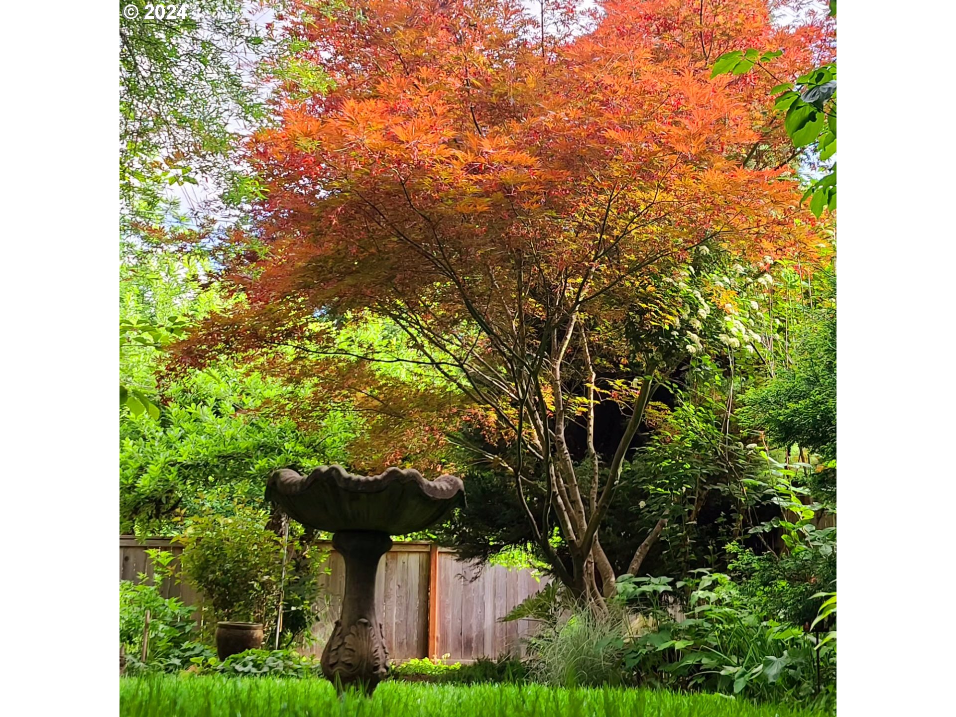 6238 Southwest McEwan Road Lake Oswego, OR 97035 - Photo 36 of 38 Gallery Image 36