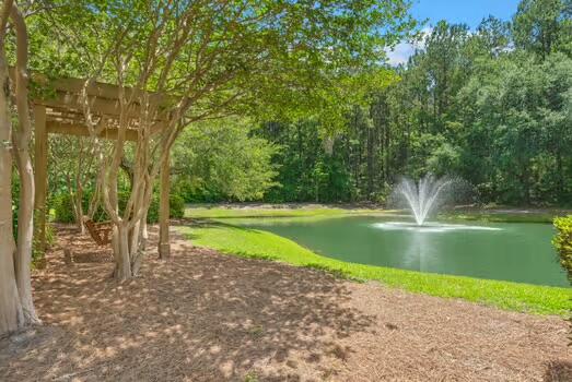 164 Ashley Bluffs Road Summerville, SC 29485 - Photo 33 of 49 IMG_6185