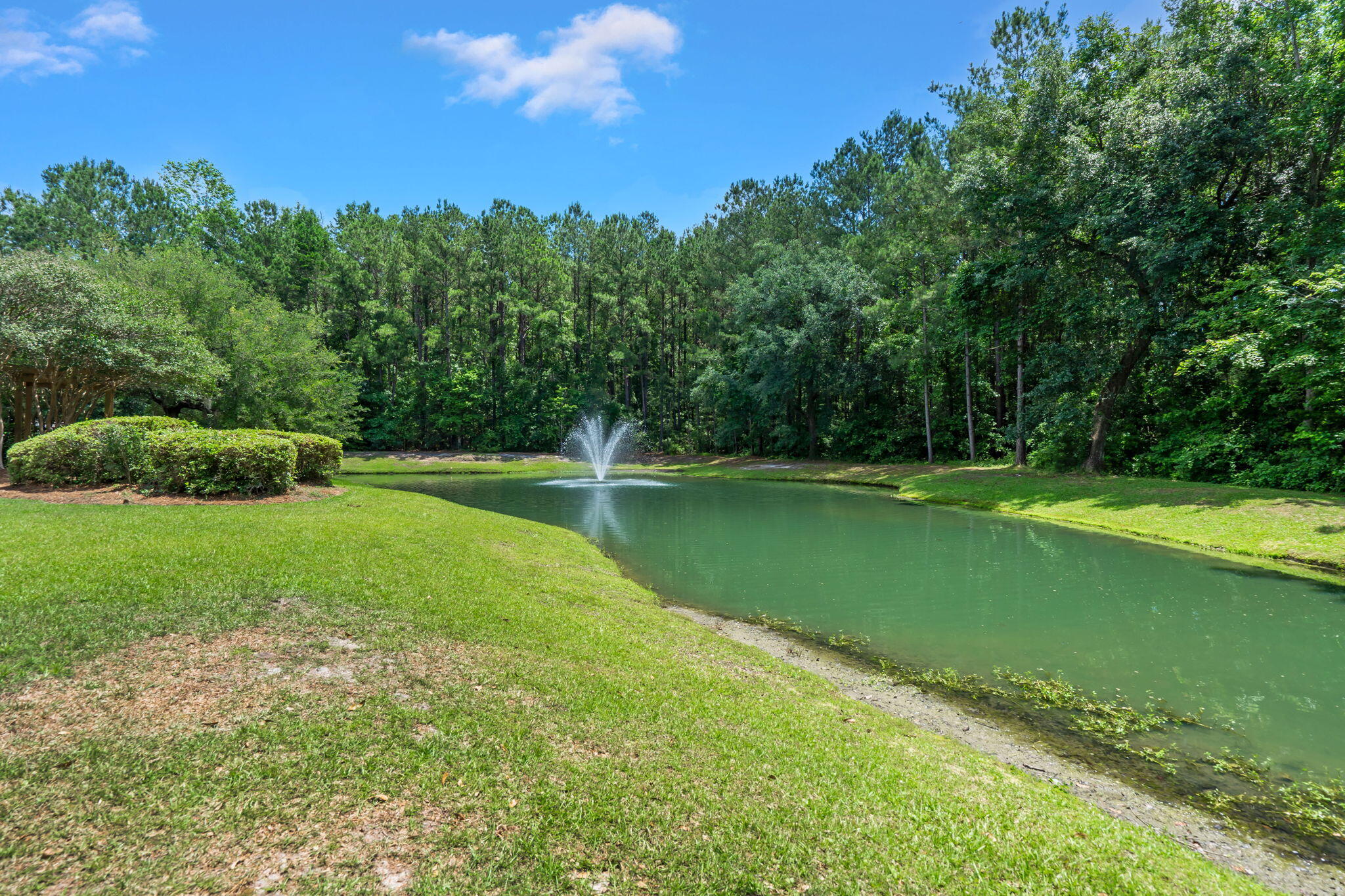 164 Ashley Bluffs Road Summerville, SC 29485 - Photo 34 of 49 50