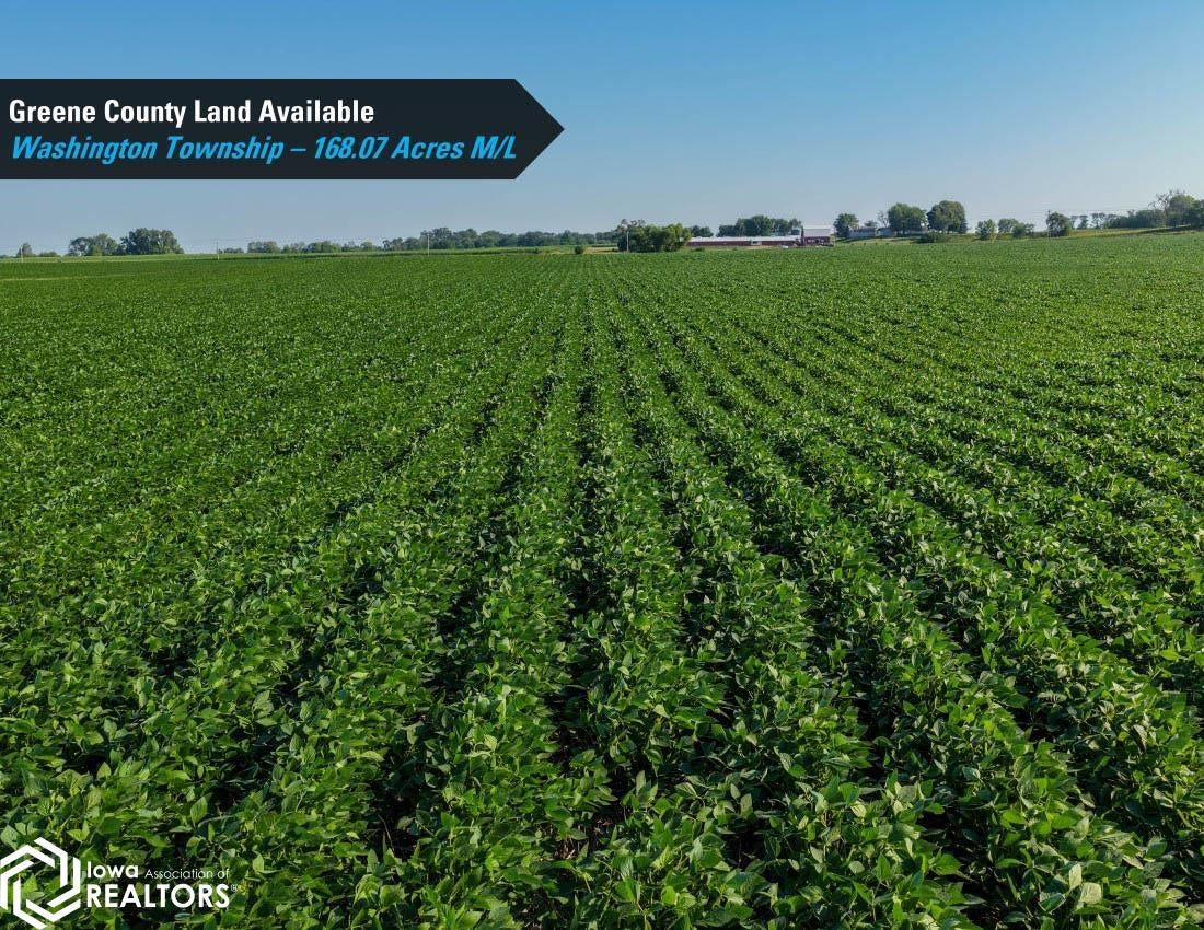 Terrace Avenue Rippey, IA 50235 - Photo 2 of 26 Gallery Image 2