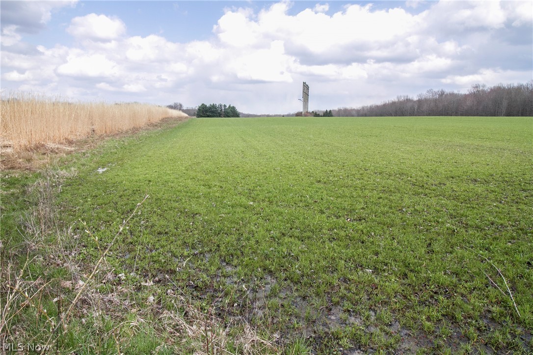 Chapel Road Ashtabula, OH 44004 - Photo 17 of 26 Gallery Image 17