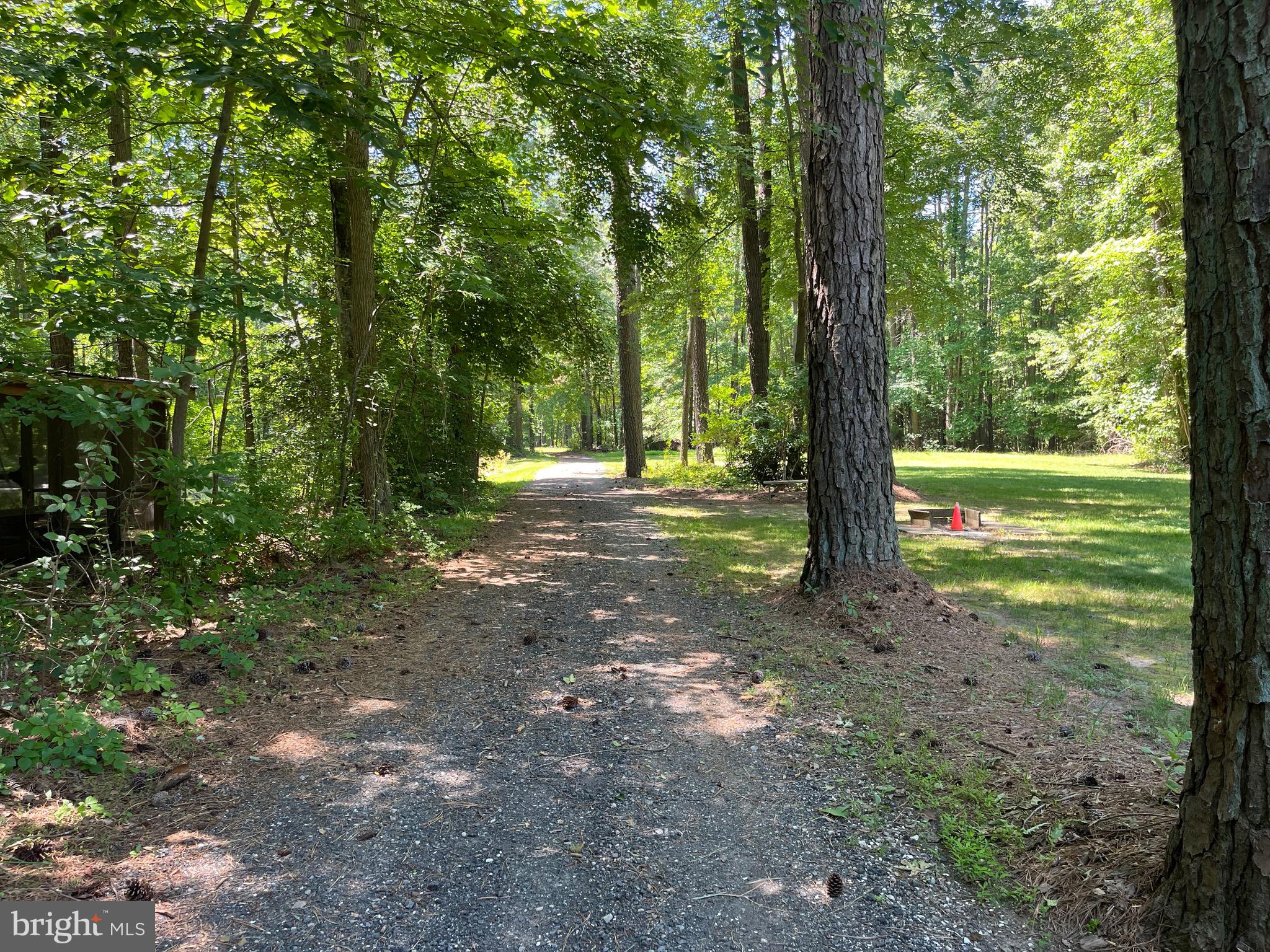 979 Barney Jenkins Road Felton, DE 19943 - Photo 7 of 14