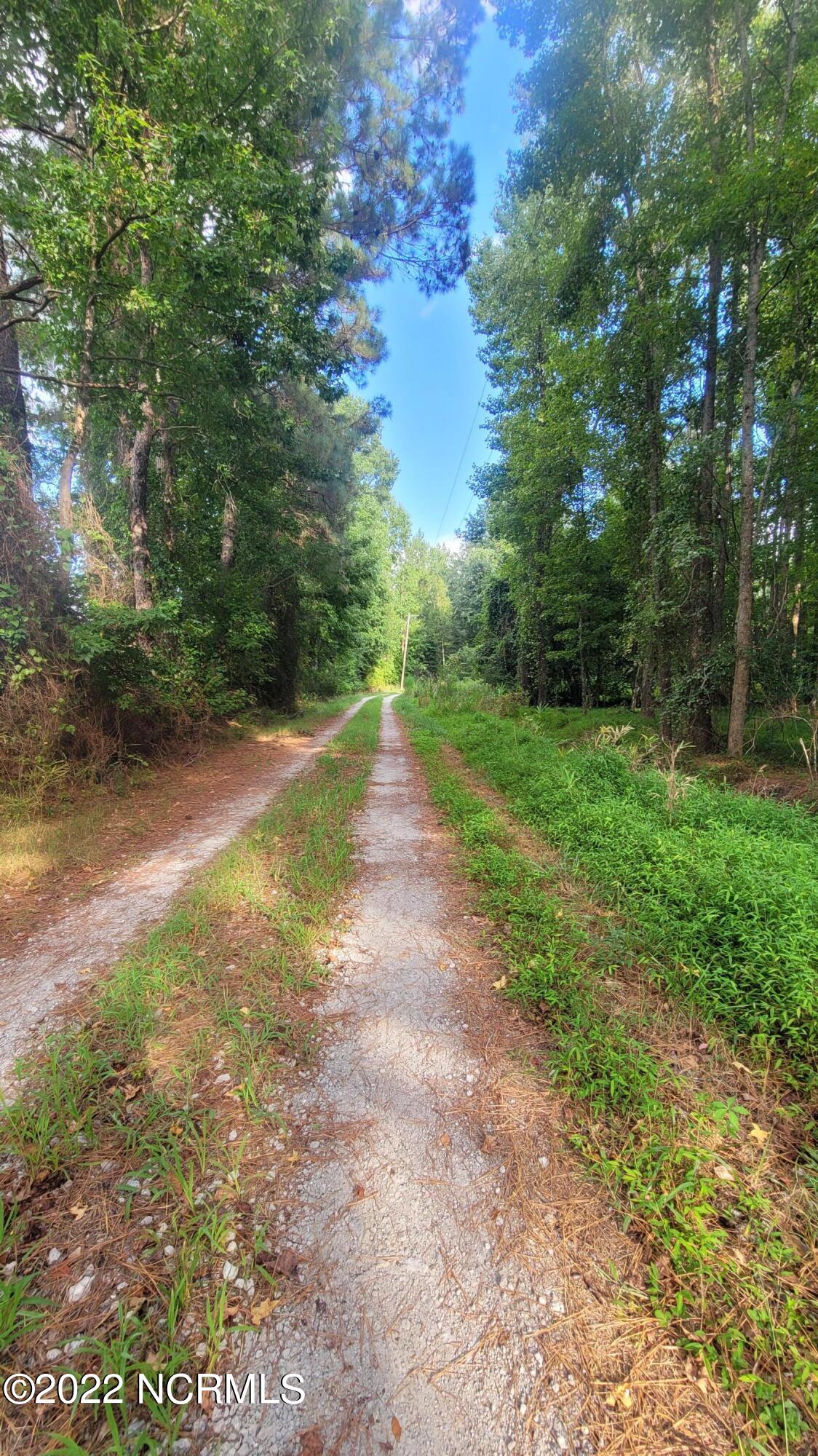 900 Loftin Farm Road Dover, NC 28526 - Photo 33 of 60 20220817_173532