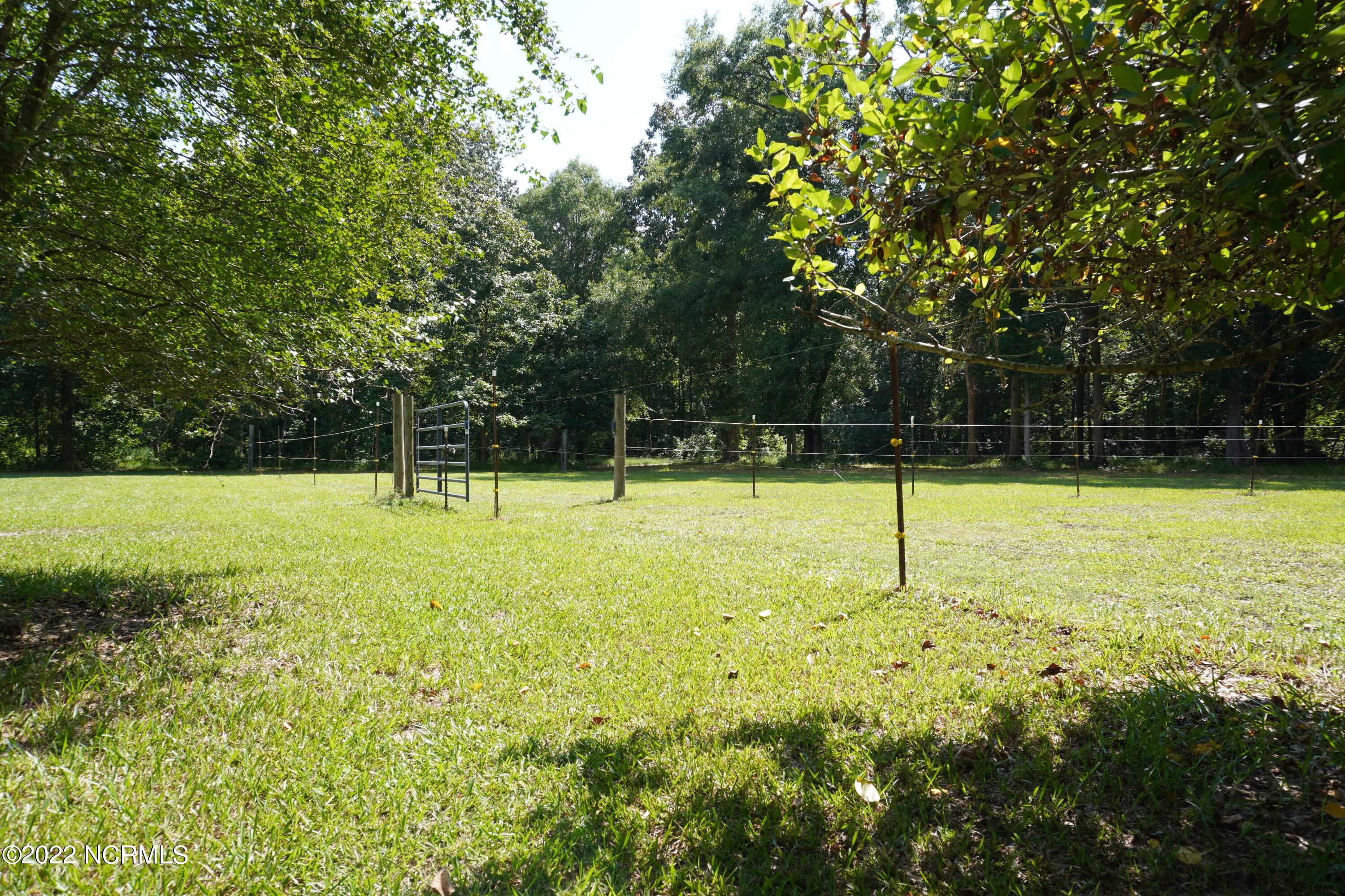 900 Loftin Farm Road Dover, NC 28526 - Photo 49 of 60 5F9412AA-E70E-45DE-942A-42CE64759BC1