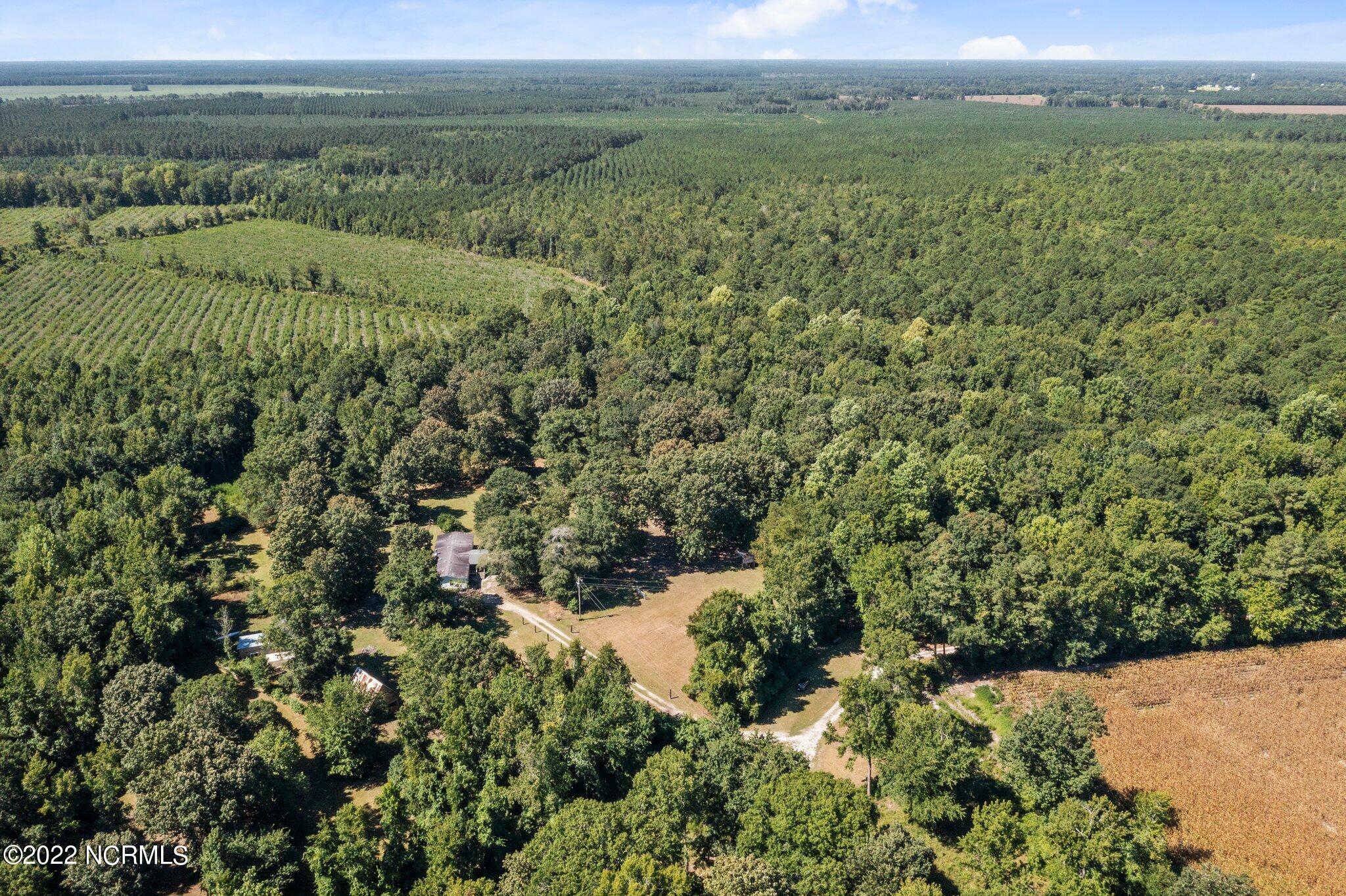 900 Loftin Farm Road Dover, NC 28526 - Photo 55 of 60 22-web-or-mls-DJI_0699