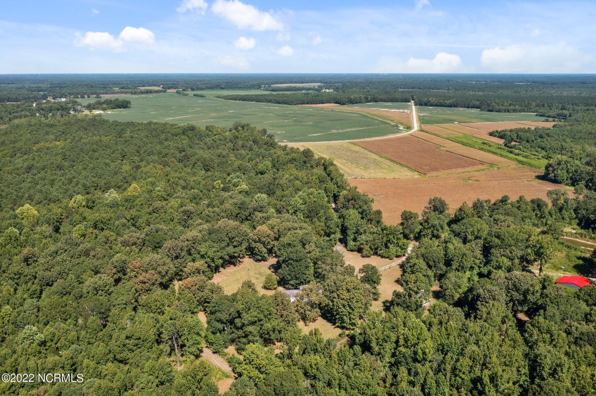 900 Loftin Farm Road Dover, NC 28526 - Photo 56 of 60 23-web-or-mls-DJI_0700