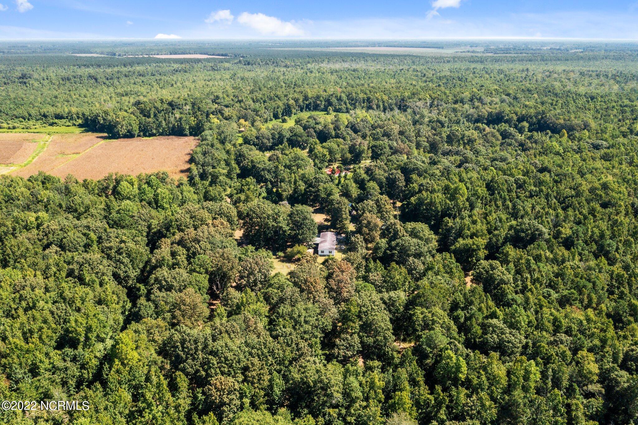 900 Loftin Farm Road Dover, NC 28526 - Photo 58 of 60 16-web-or-mls-DJI_0690