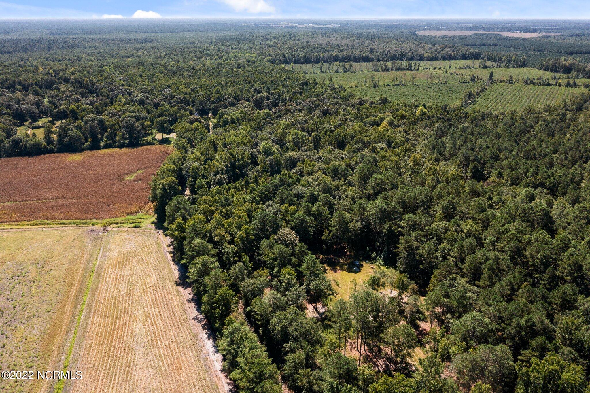 900 Loftin Farm Road Dover, NC 28526 - Photo 59 of 60 18-web-or-mls-DJI_0694