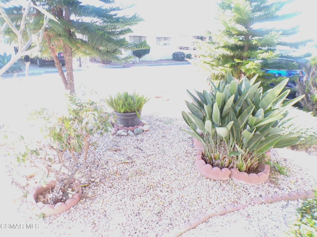 250 East Telegraph Road, Unit 220 Fillmore, CA 93015 - Photo 13 of 24 a view of a plant