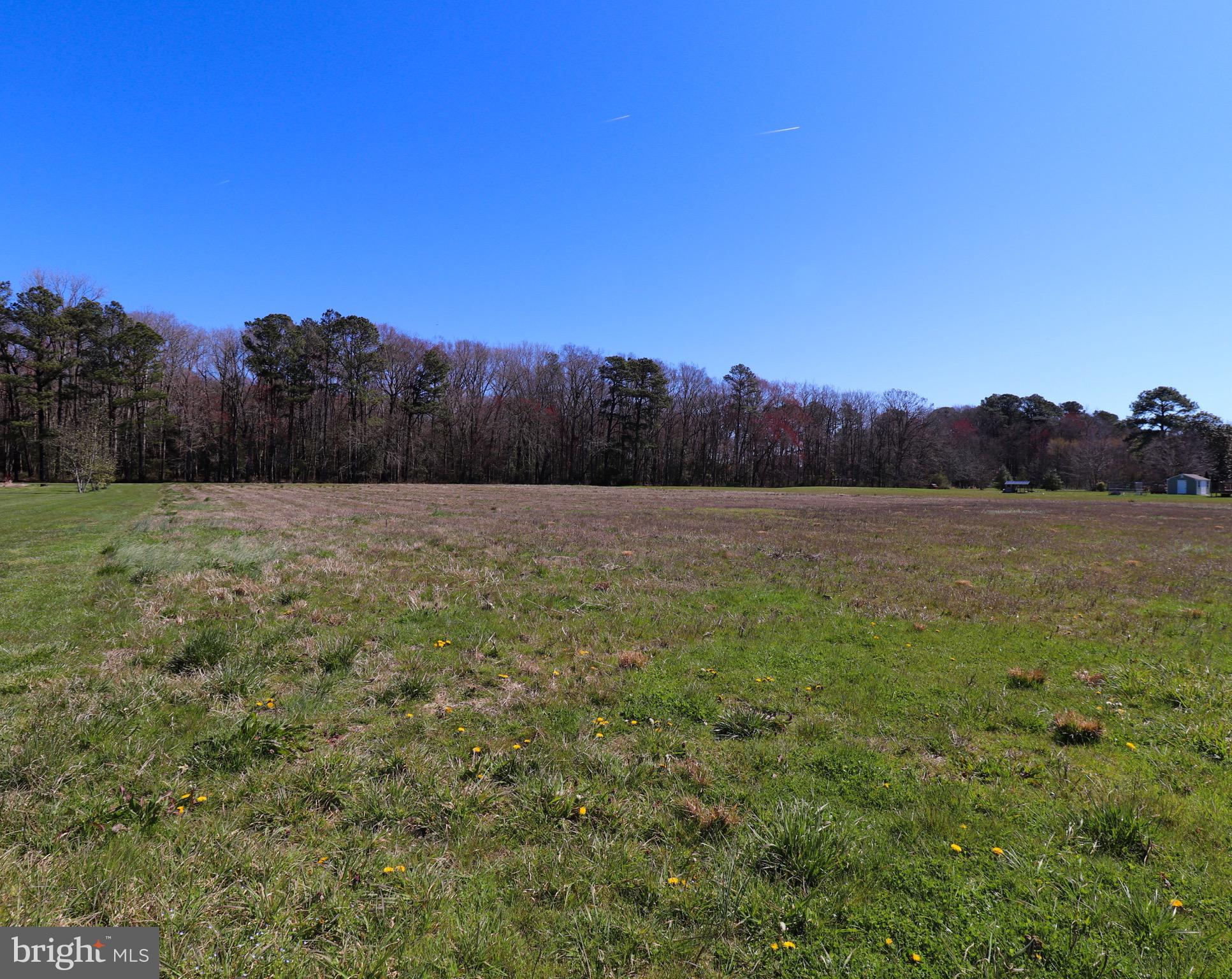 0 Hayward Road Pocomoke City, MD 21851 - Photo 2 of 8