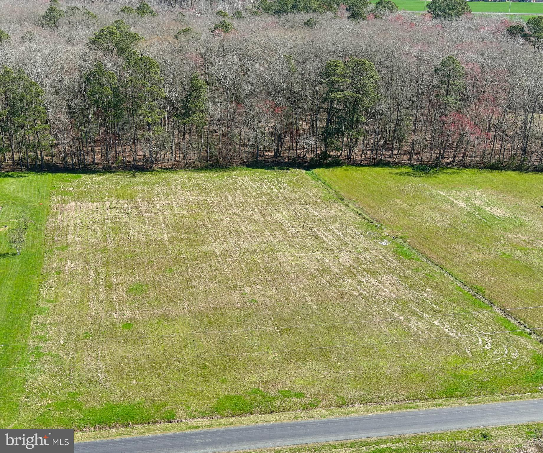0 Hayward Road Pocomoke City, MD 21851 - Photo 5 of 8