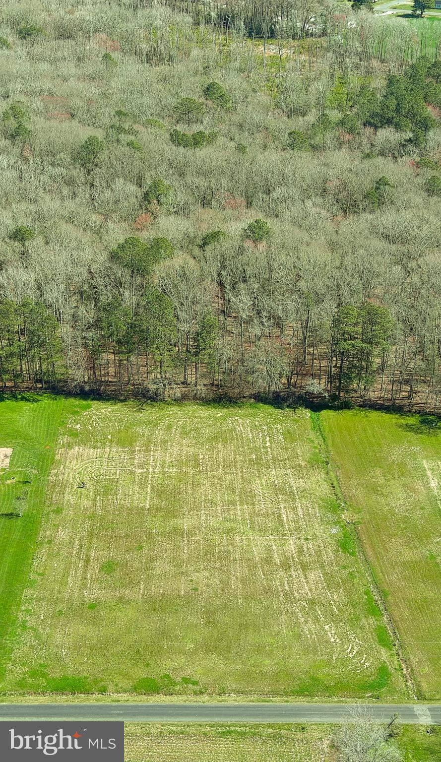 0 Hayward Road Pocomoke City, MD 21851 - Photo 6 of 8