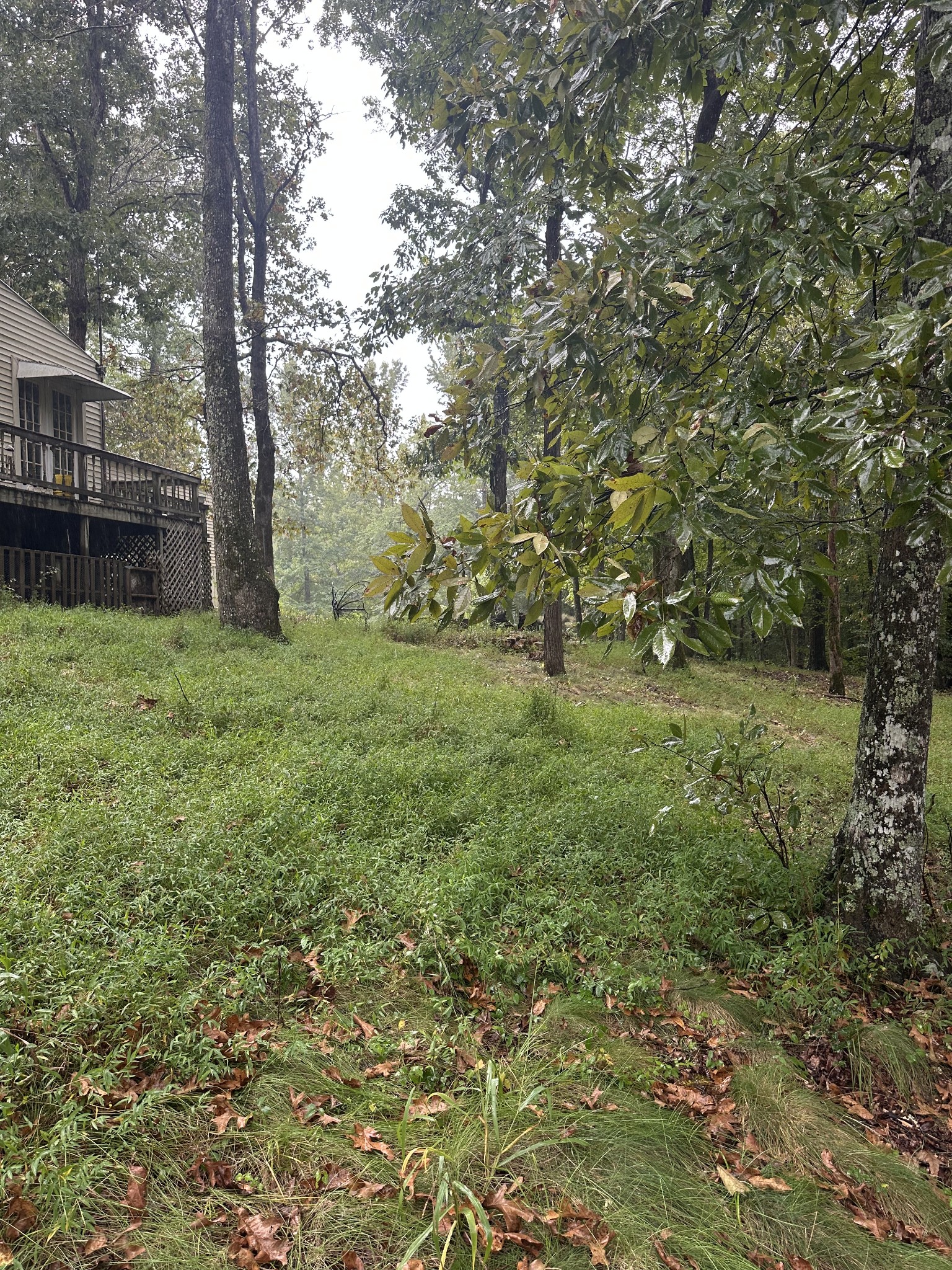 151 Wilson Cemetery Road Big Sandy, TN 38221 - Photo 27 of 35 Gallery Image 27