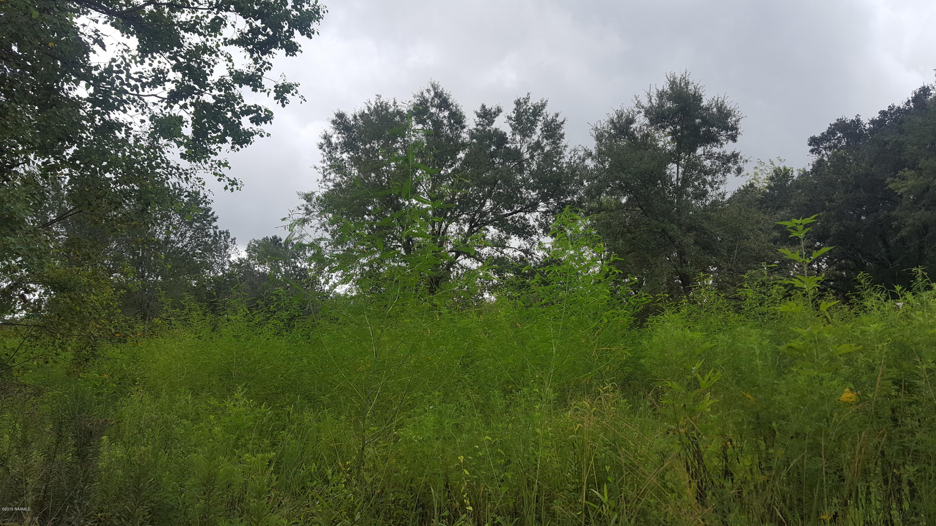 0 Mamou Prairie Road Basile, LA 70515 - Photo 1 of 1 20190826_095334