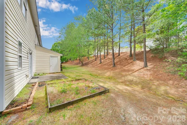 a view of backyard with tree