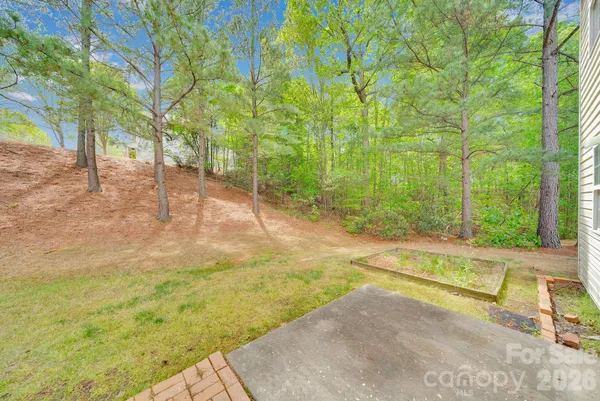 a view of a backyard with a large tree