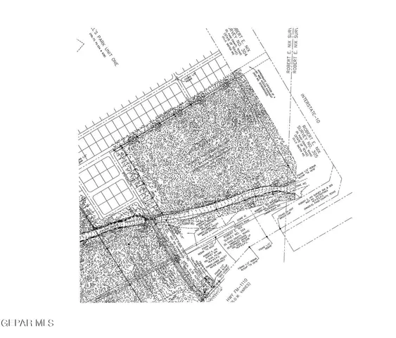 a view of a painting of a tree