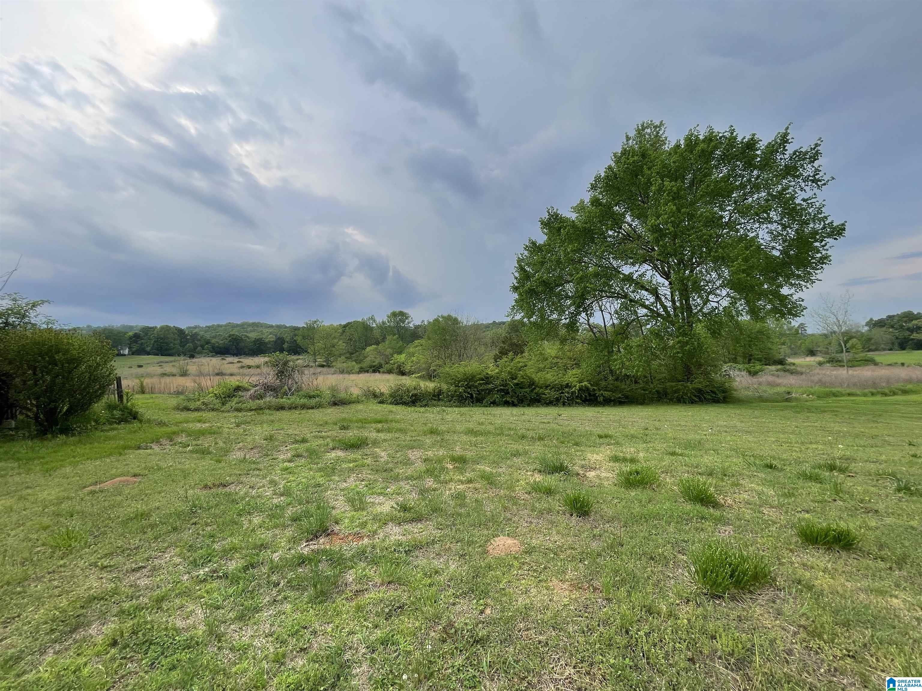 1779 Ray Wyatt Road Ashville, AL 35953 - Photo 39 of 40