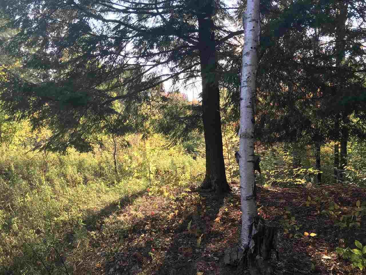 421 Oak Ridge Road Fleischmanns, NY 12430 - Photo 11 of 28 Photo 11