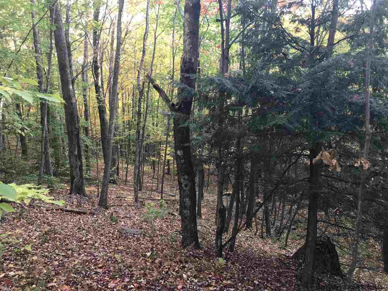 421 Oak Ridge Road Fleischmanns, NY 12430 - Photo 12 of 28 Photo 12