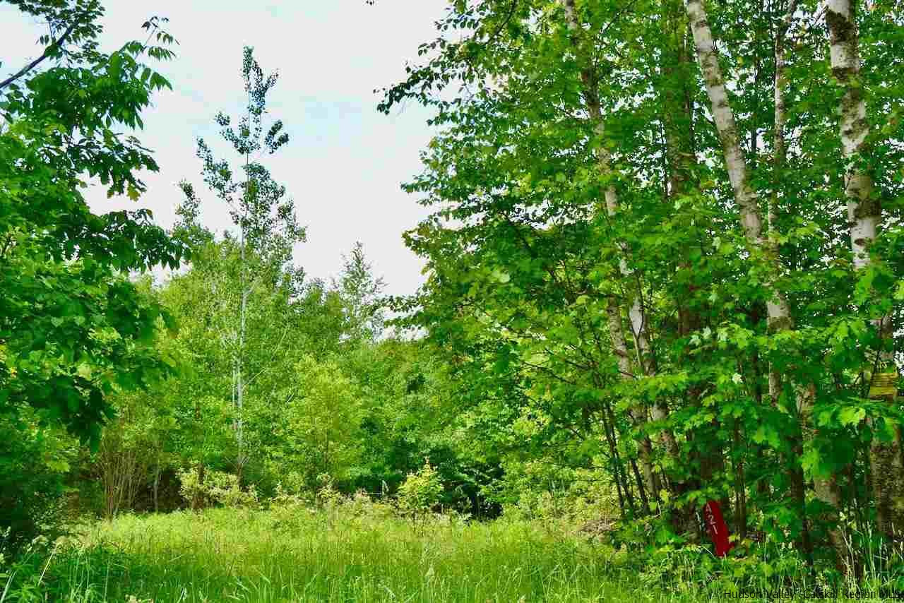 421 Oak Ridge Road Fleischmanns, NY 12430 - Photo 14 of 28 Photo 14