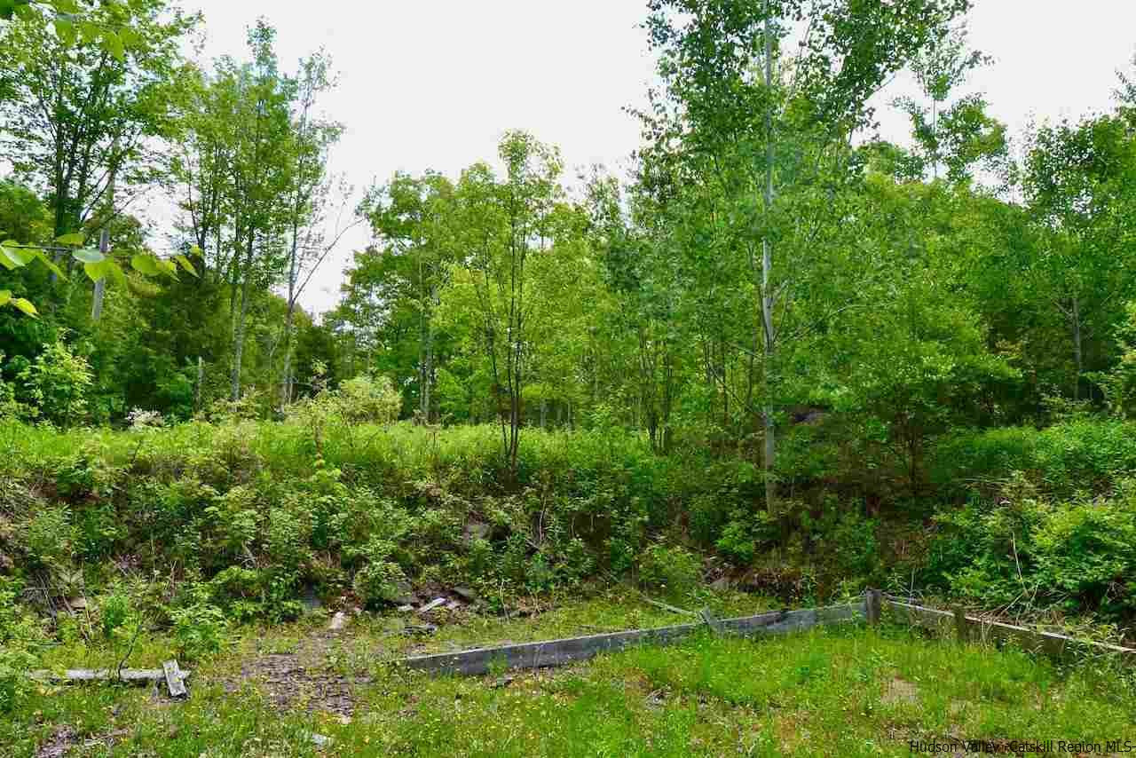 421 Oak Ridge Road Fleischmanns, NY 12430 - Photo 15 of 28 Photo 15