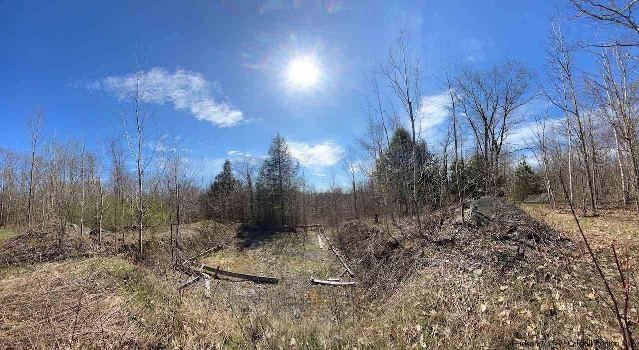 421 Oak Ridge Road Fleischmanns, NY 12430 - Photo 16 of 28 Photo 16