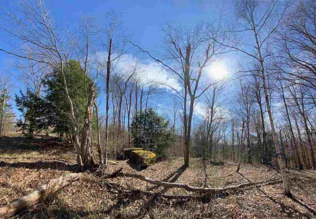 421 Oak Ridge Road Fleischmanns, NY 12430 - Photo 17 of 28 Photo 17