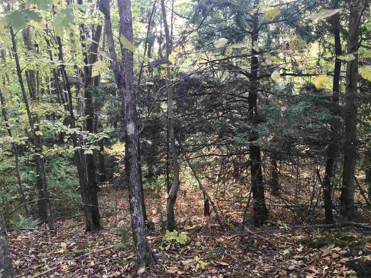 421 Oak Ridge Road Fleischmanns, NY 12430 - Photo 20 of 28 Photo 20