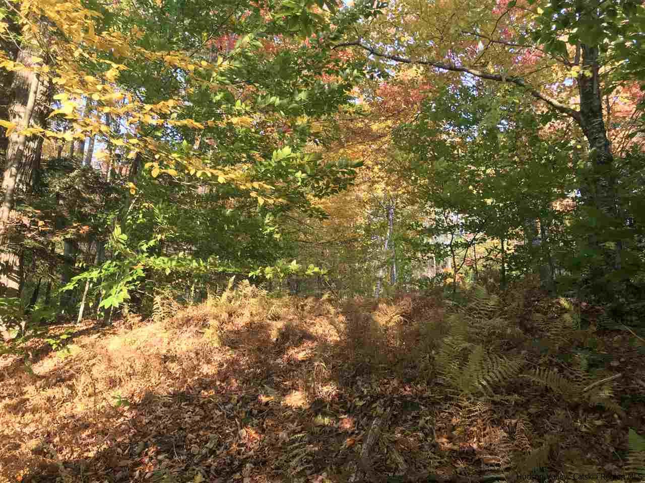 421 Oak Ridge Road Fleischmanns, NY 12430 - Photo 21 of 28 Photo 21