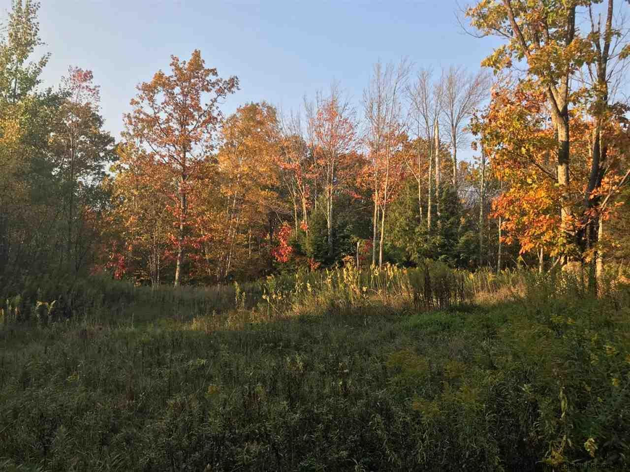 421 Oak Ridge Road Fleischmanns, NY 12430 - Photo 22 of 28 Photo 22