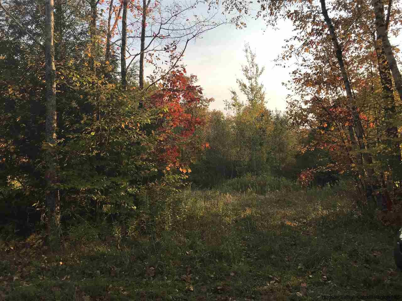 421 Oak Ridge Road Fleischmanns, NY 12430 - Photo 24 of 28 Photo 24