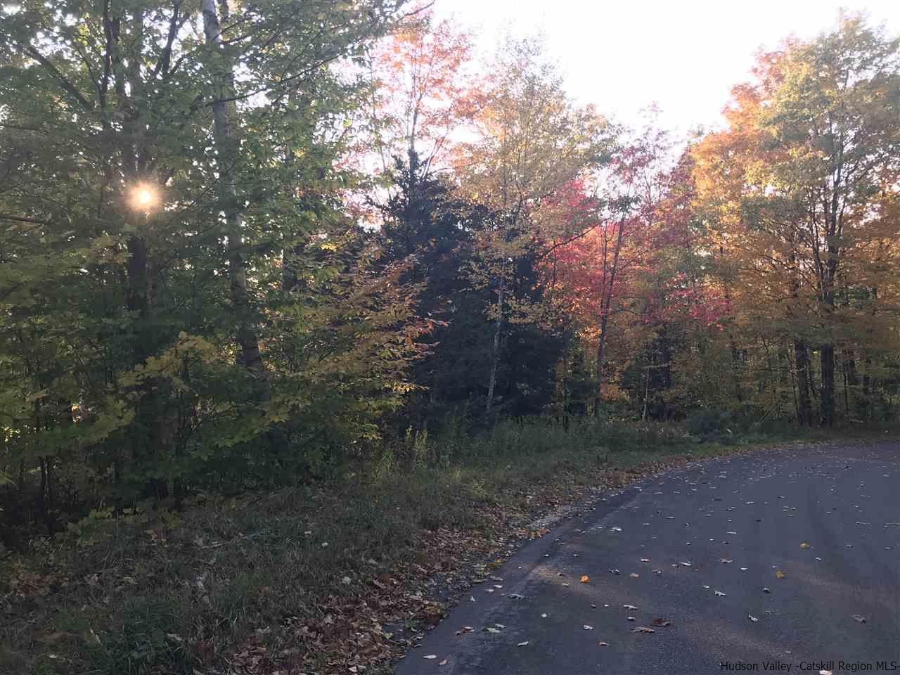 421 Oak Ridge Road Fleischmanns, NY 12430 - Photo 25 of 28 Photo 25