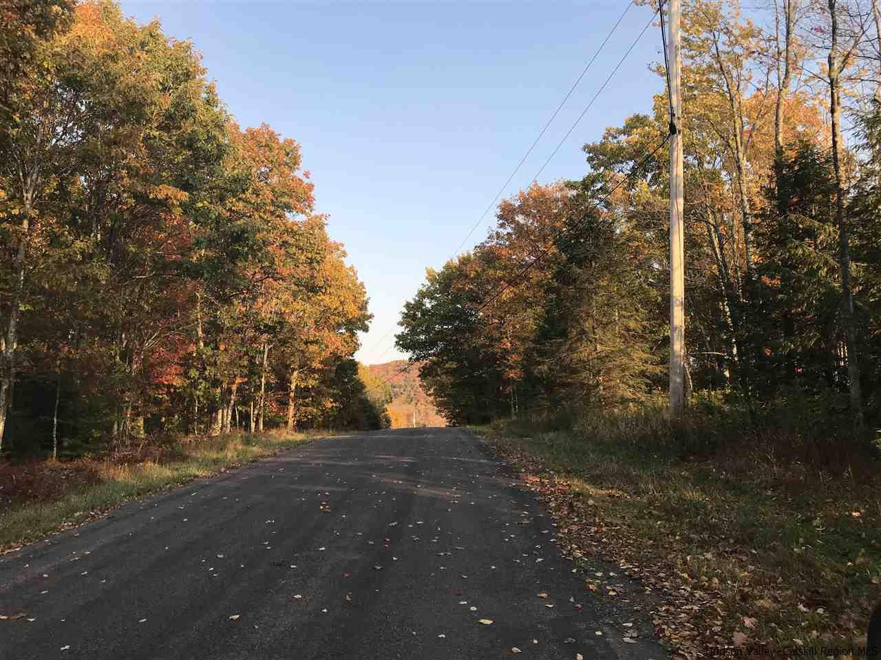 421 Oak Ridge Road Fleischmanns, NY 12430 - Photo 26 of 28 Photo 26