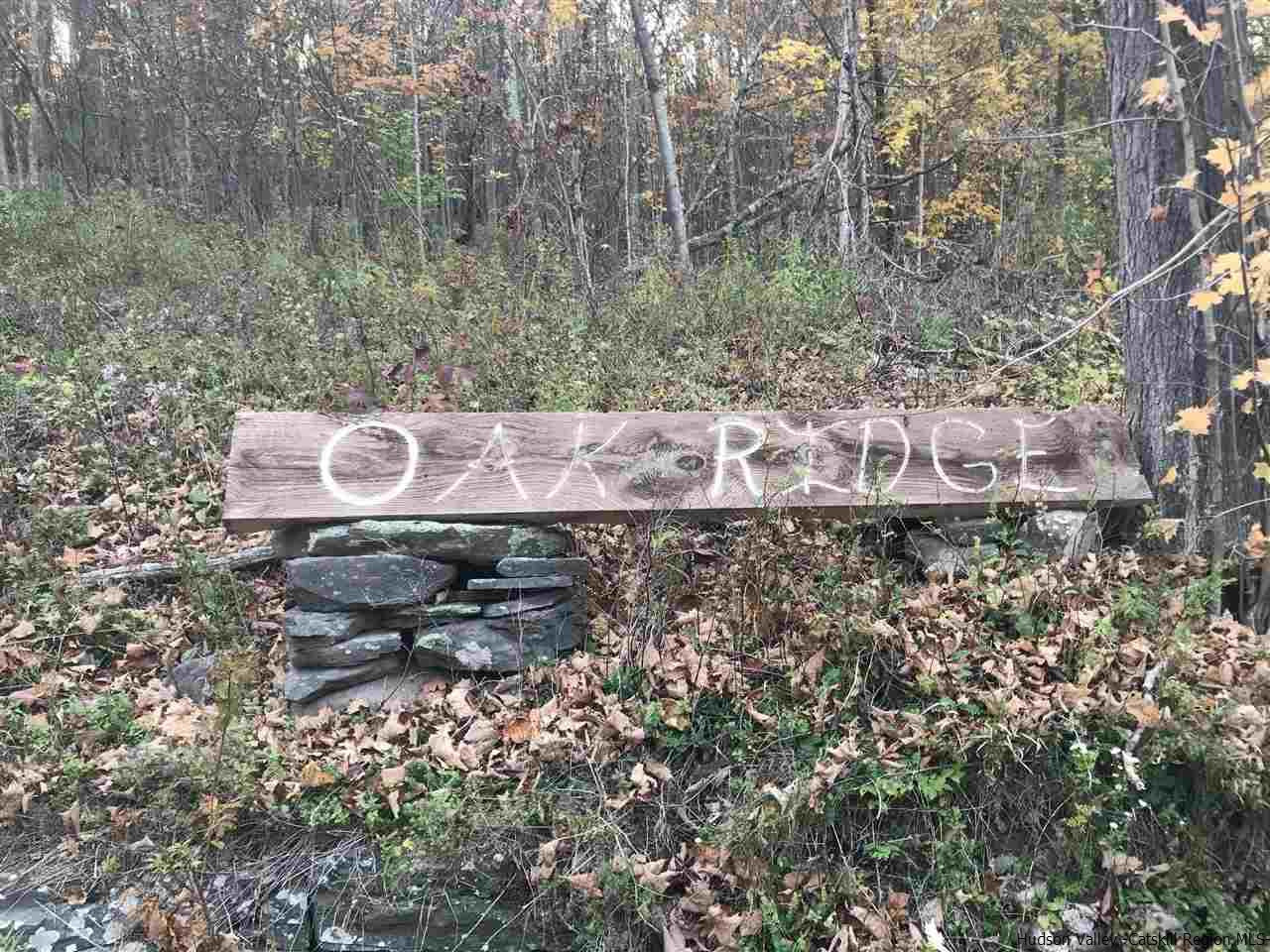 421 Oak Ridge Road Fleischmanns, NY 12430 - Photo 27 of 28 Photo 27