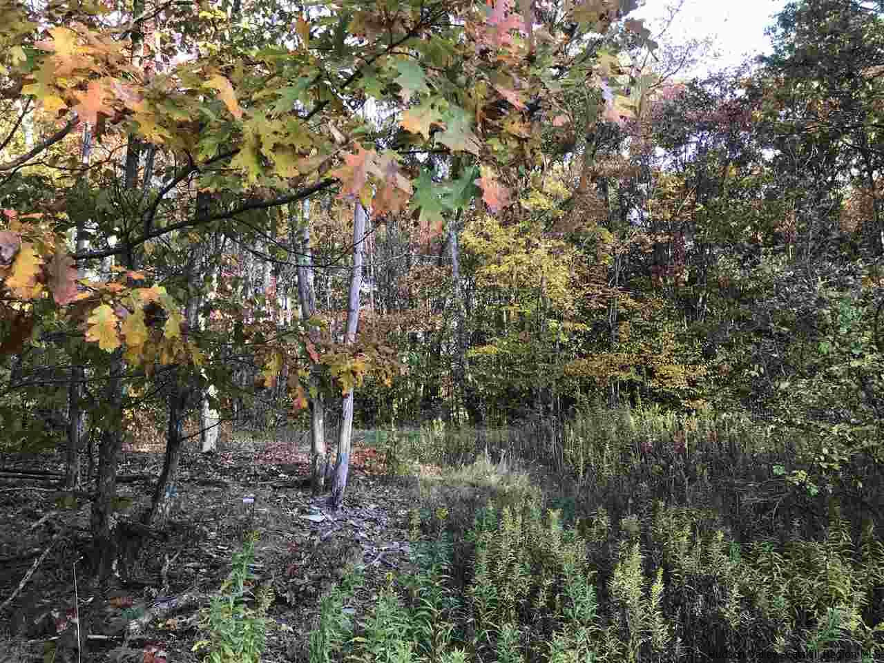 421 Oak Ridge Road Fleischmanns, NY 12430 - Photo 3 of 28 Photo 3