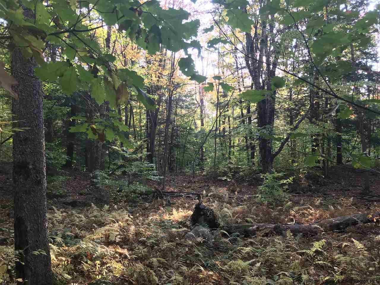 421 Oak Ridge Road Fleischmanns, NY 12430 - Photo 6 of 28 Photo 6