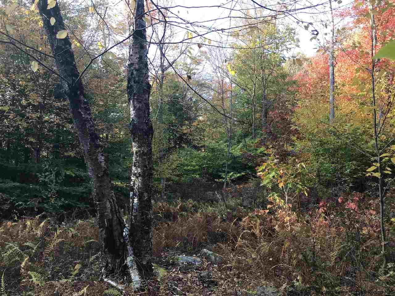 421 Oak Ridge Road Fleischmanns, NY 12430 - Photo 7 of 28 Photo 7