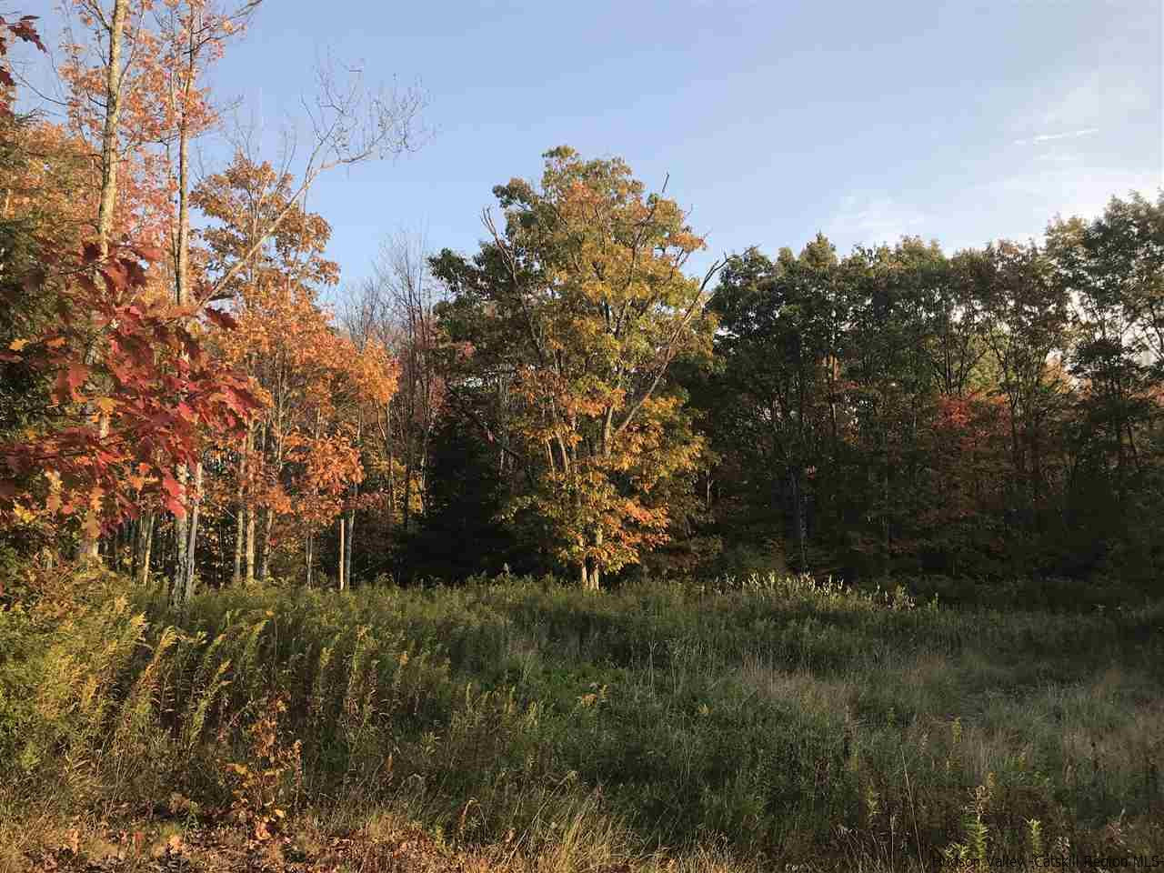 421 Oak Ridge Road Fleischmanns, NY 12430 - Photo 9 of 28 Photo 9