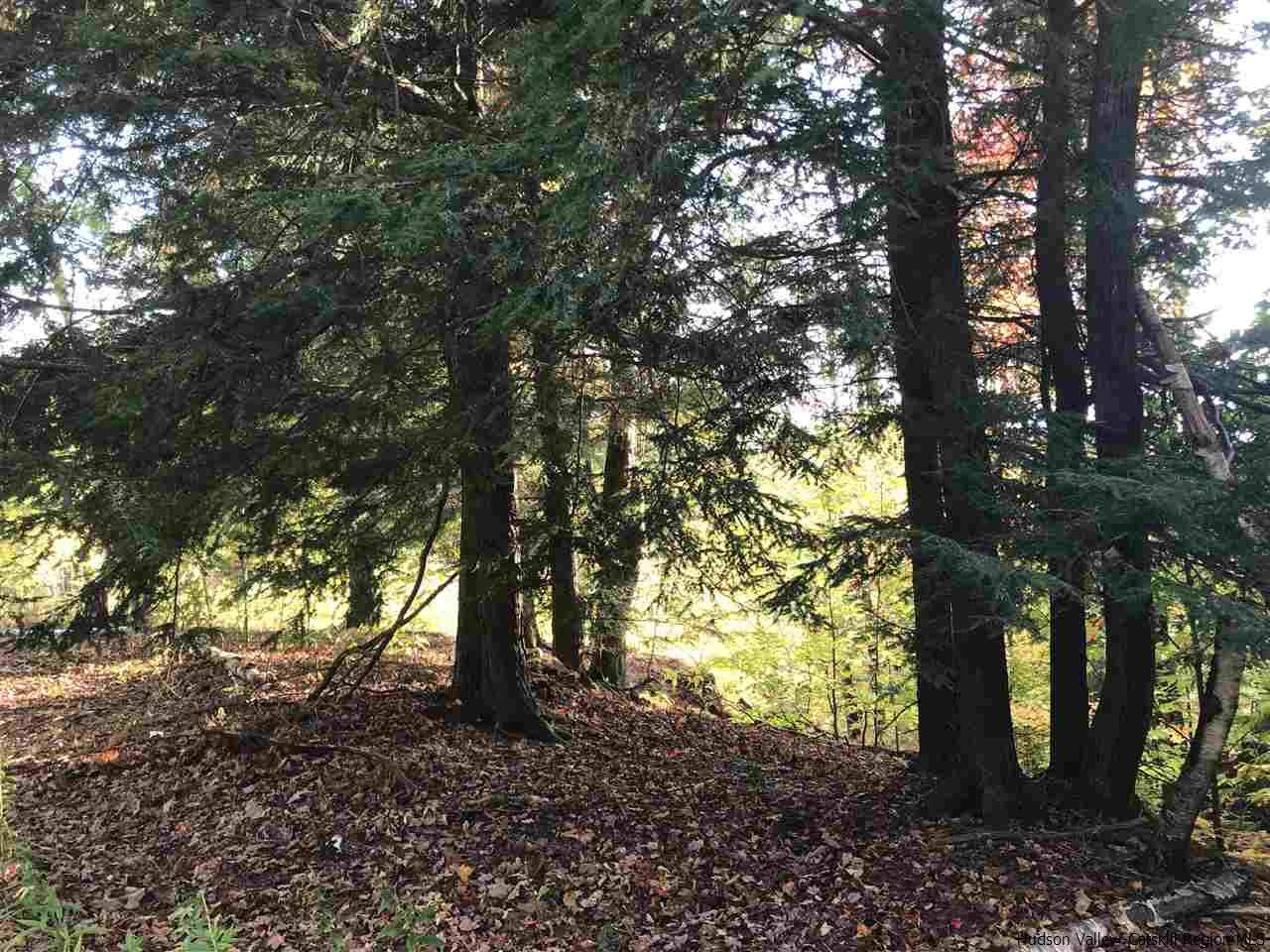 421 Oak Ridge Road Fleischmanns, NY 12430 - Photo 10 of 28 Photo 10