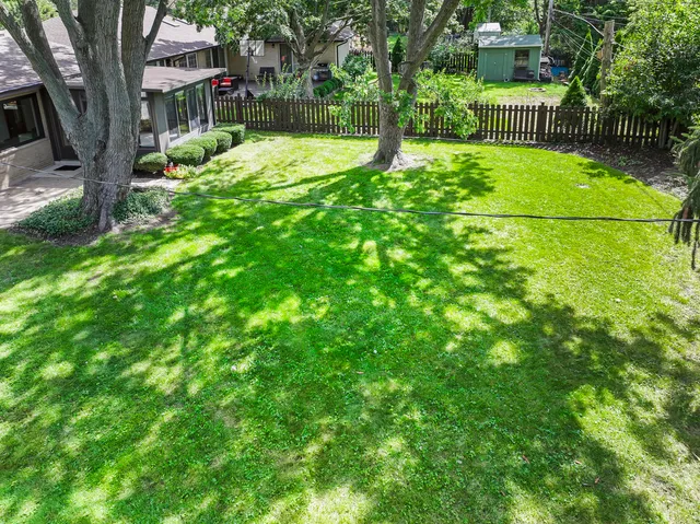a view of a garden with a tree in the garden